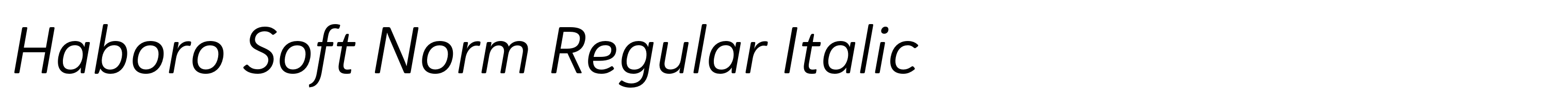 Haboro Soft Norm Regular Italic